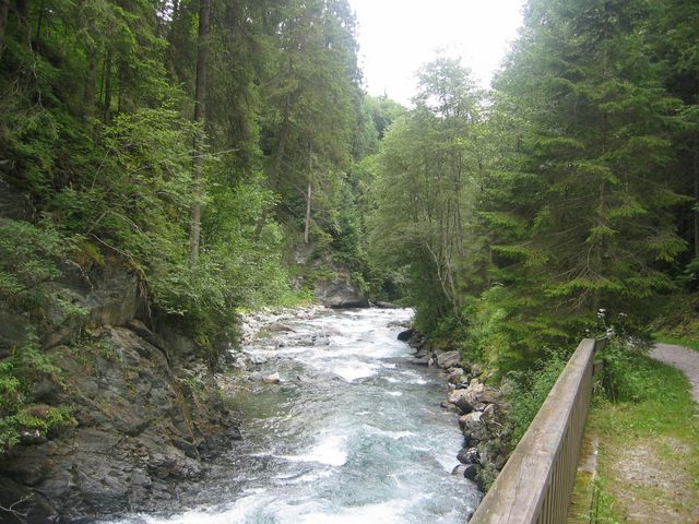 img_2491.jpg