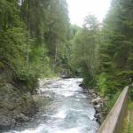 img_2491.jpg