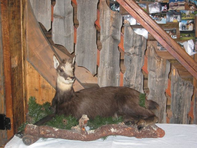img_2500.jpg