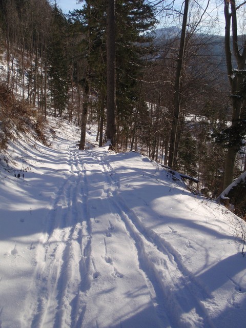 P1041823.JPG