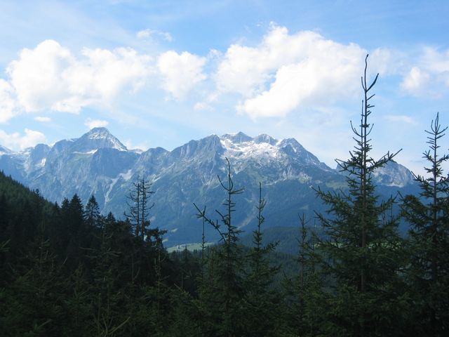 img_2378.jpg