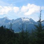 img_2378.jpg