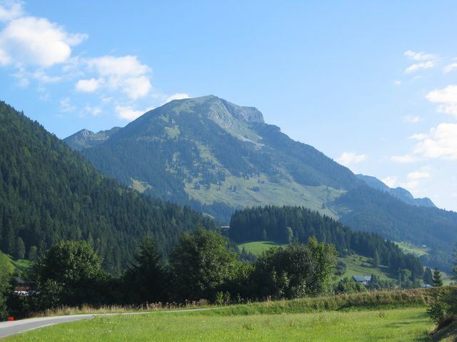 img_2381.jpg