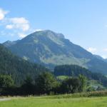img_2381.jpg