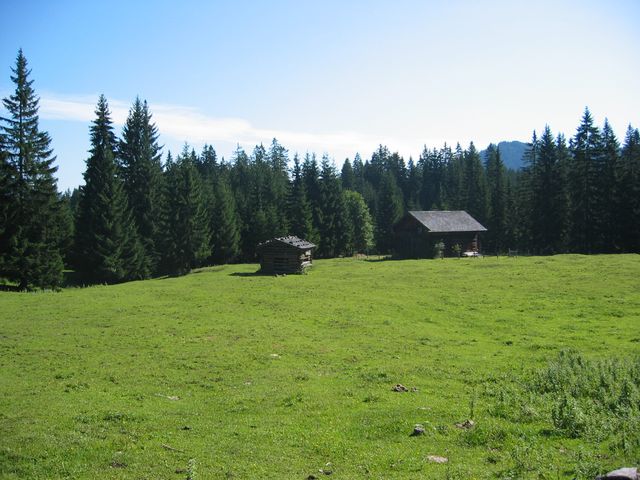 img_2389.jpg