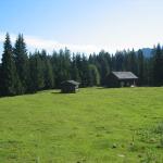 img_2389.jpg