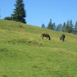 img_2390.jpg