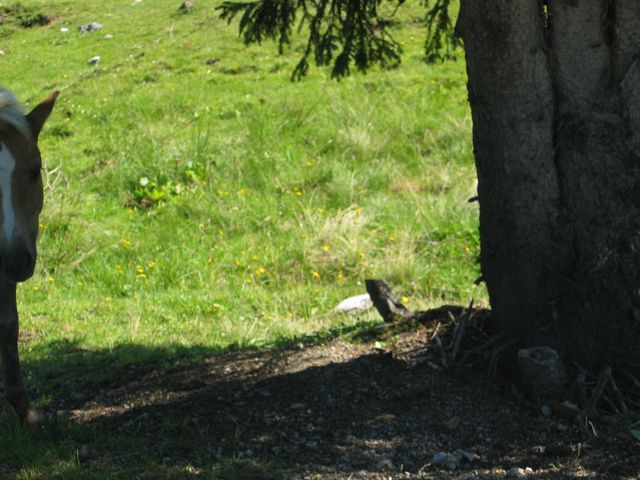 img_2391.jpg