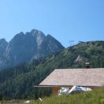 img_2397.jpg