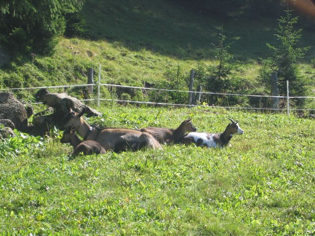 img_2400.jpg