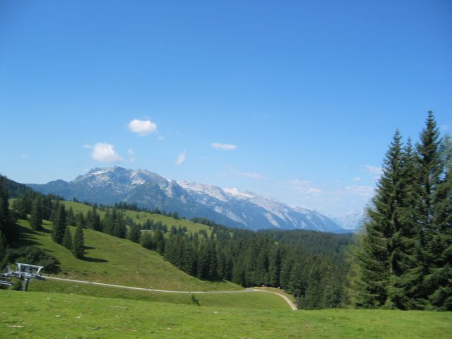 img_2403.jpg