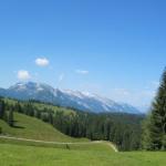 img_2403.jpg