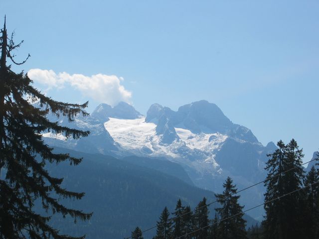 img_2406.jpg