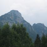 img_2415.jpg