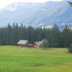 img_2419.jpg