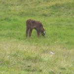 img_2425.jpg
