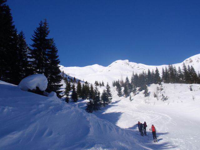 P1030527.jpg