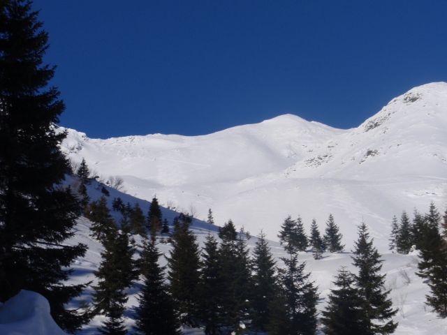 P1030528.jpg