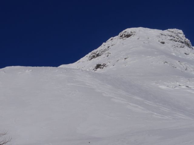 P1030530.jpg