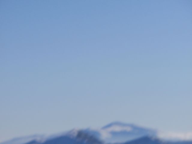 P1030536.jpg