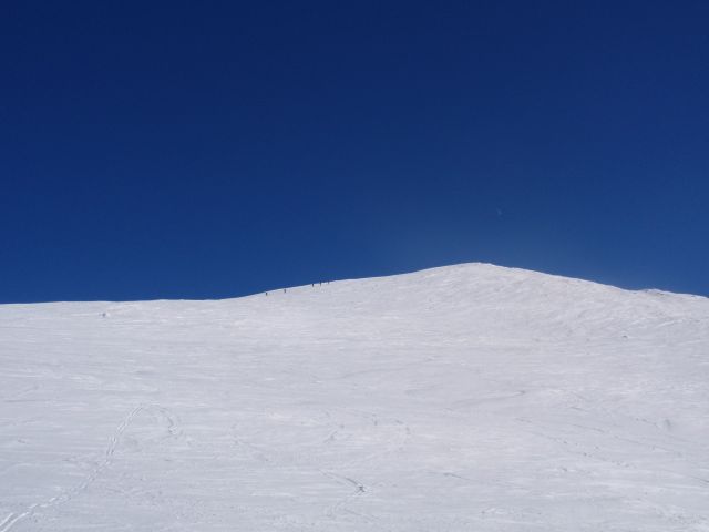 P1030538.jpg