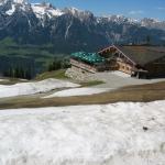 IMG_1970.JPG