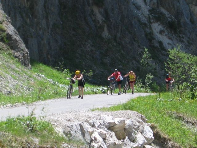IMG_1994.JPG