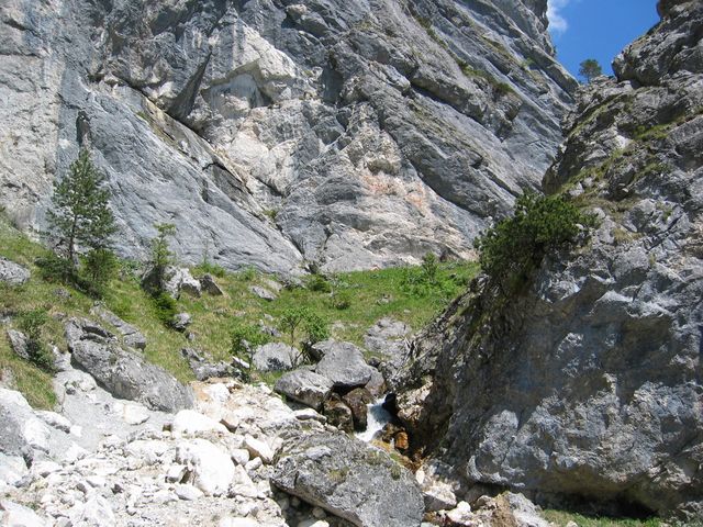IMG_1996.JPG