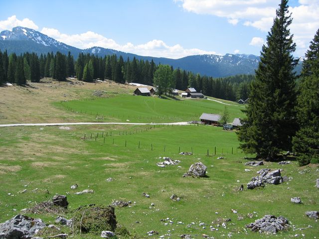 IMG_2000.JPG