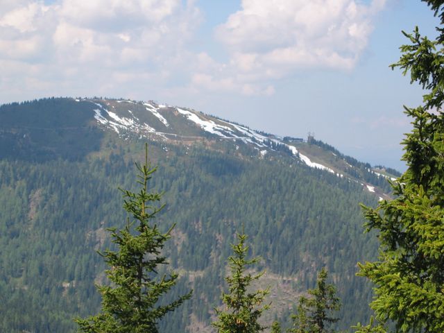 IMG_2032.JPG
