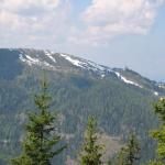 IMG_2032.JPG