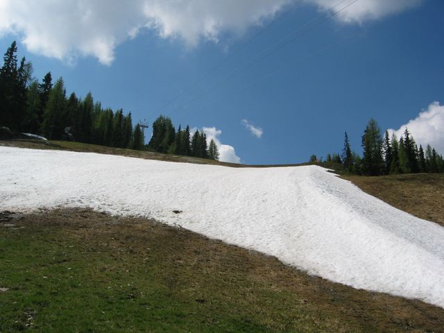 IMG_2035.JPG