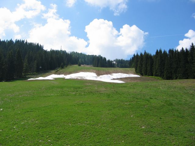 IMG_2037.JPG