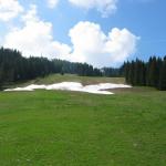 IMG_2037.JPG
