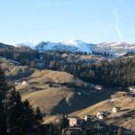 IMG_1804.JPG