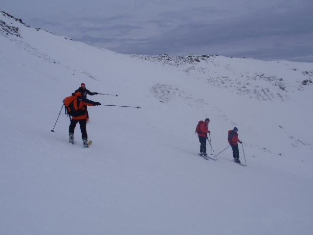 P1050564.jpg