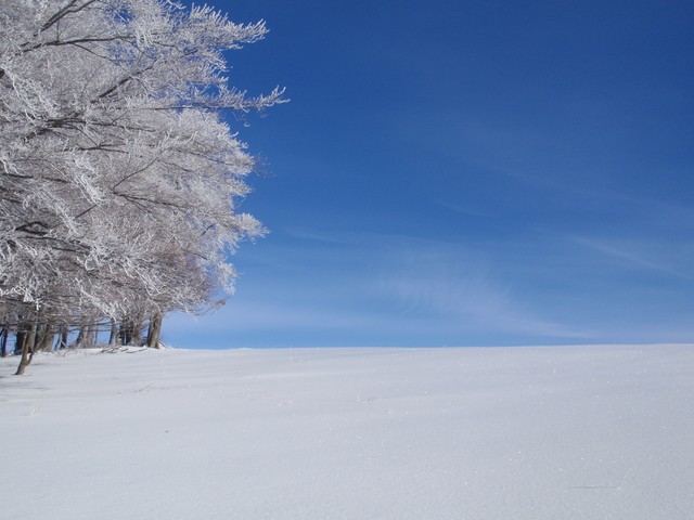 P1041832.JPG