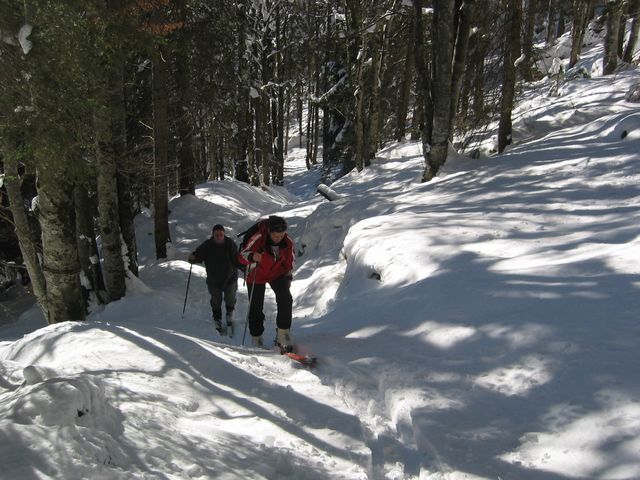 IMG_1627.JPG