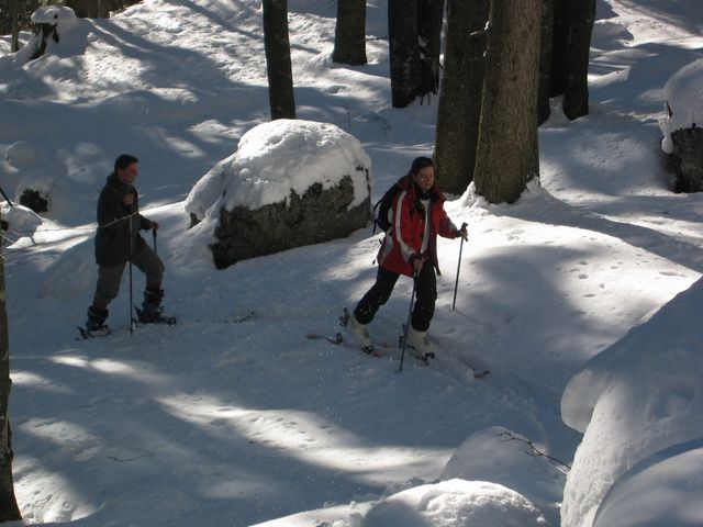 IMG_1628.JPG
