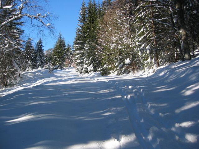IMG_1632.JPG