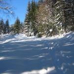 IMG_1632.JPG