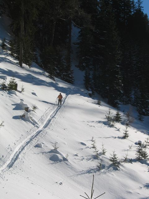 IMG_1645.JPG