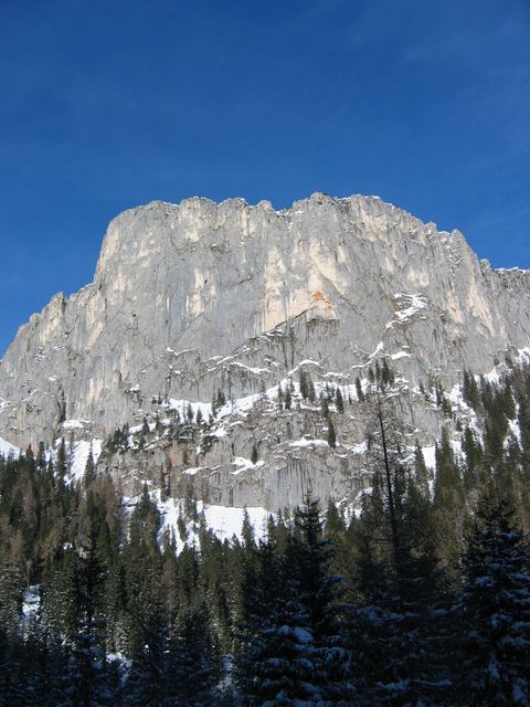 IMG_1646.JPG