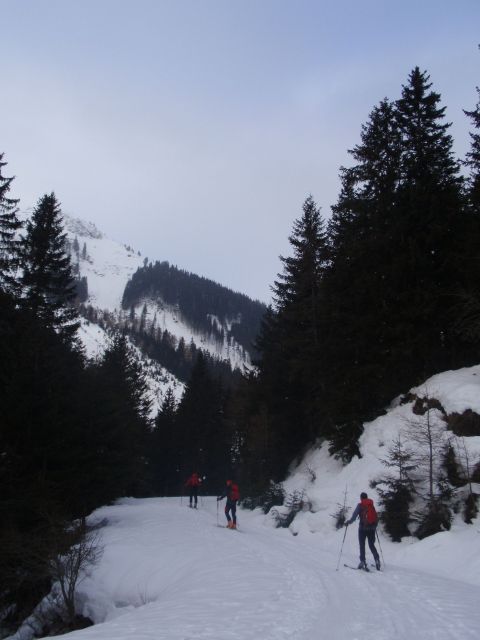 P1060574.jpg