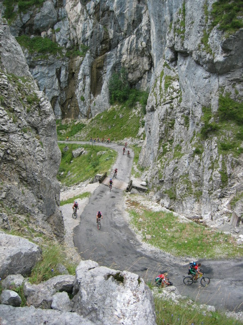 IMG_1226.JPG