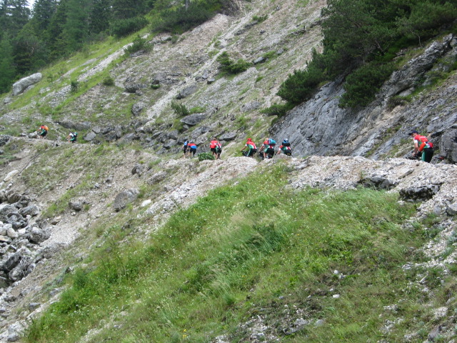 IMG_1233.JPG
