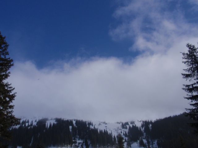 P1060580.jpg