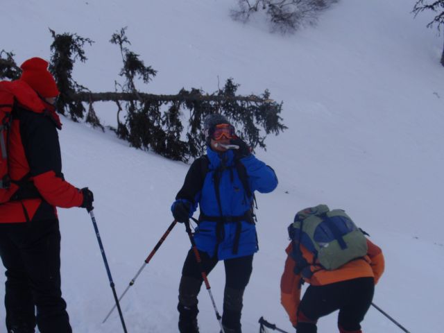 P1060584.jpg