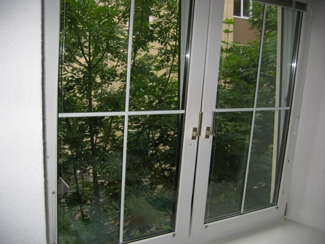 Blick ins Grüne vom Küchenfenster