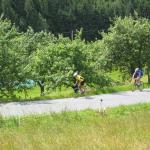 IMG_1067.JPG
